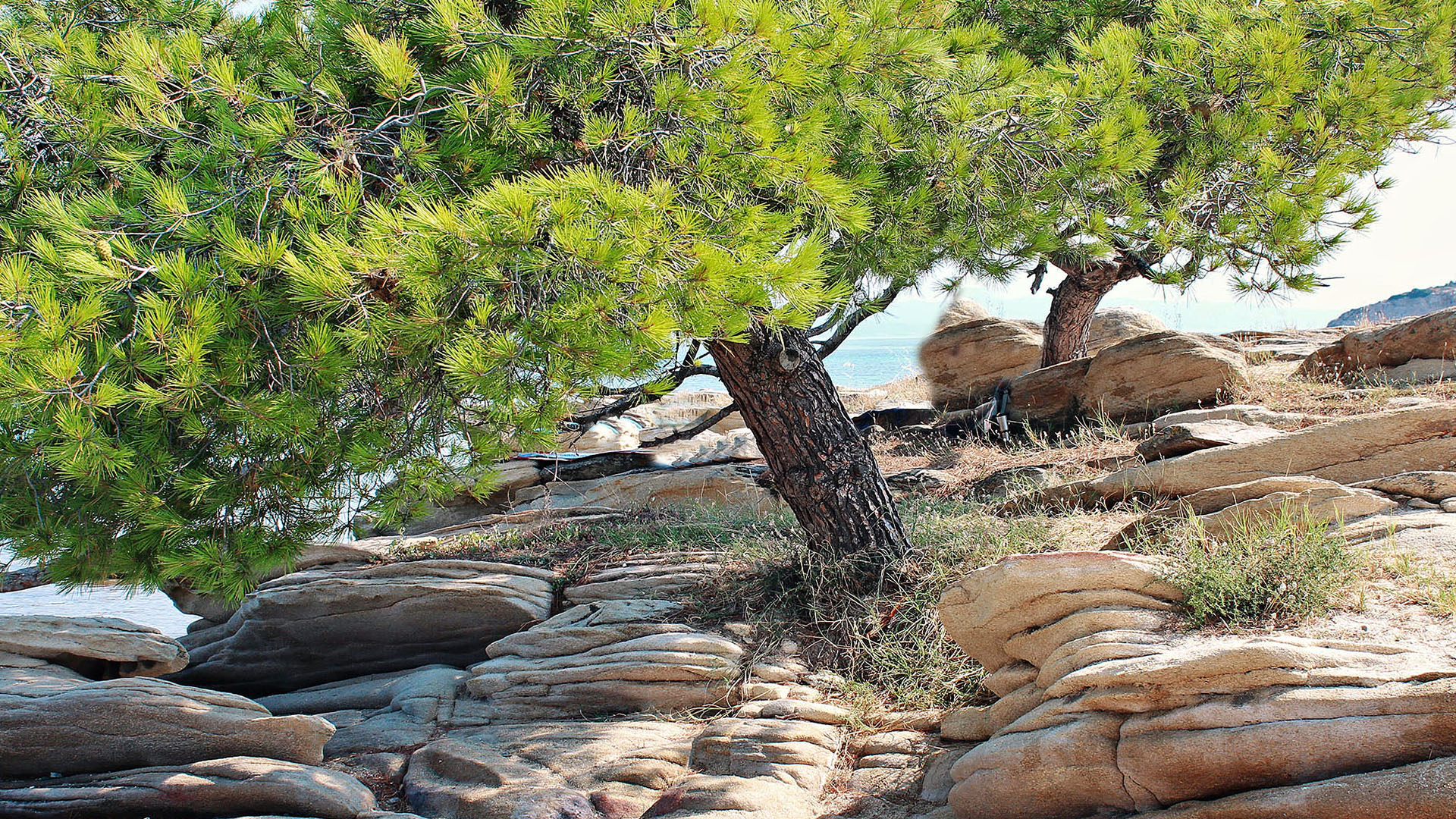 Sithonia Chalkidiki Beaches 005