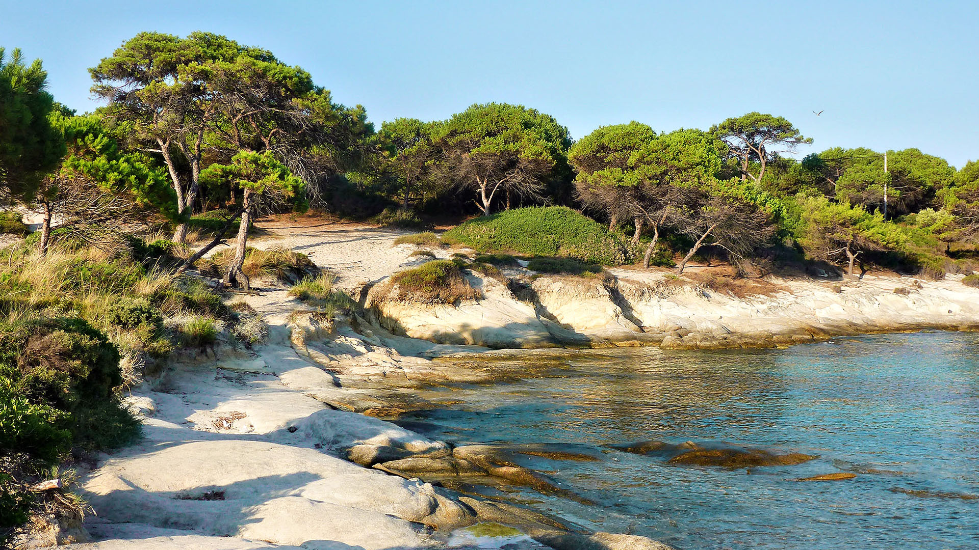 Sithonia Chalkidiki Beaches 007