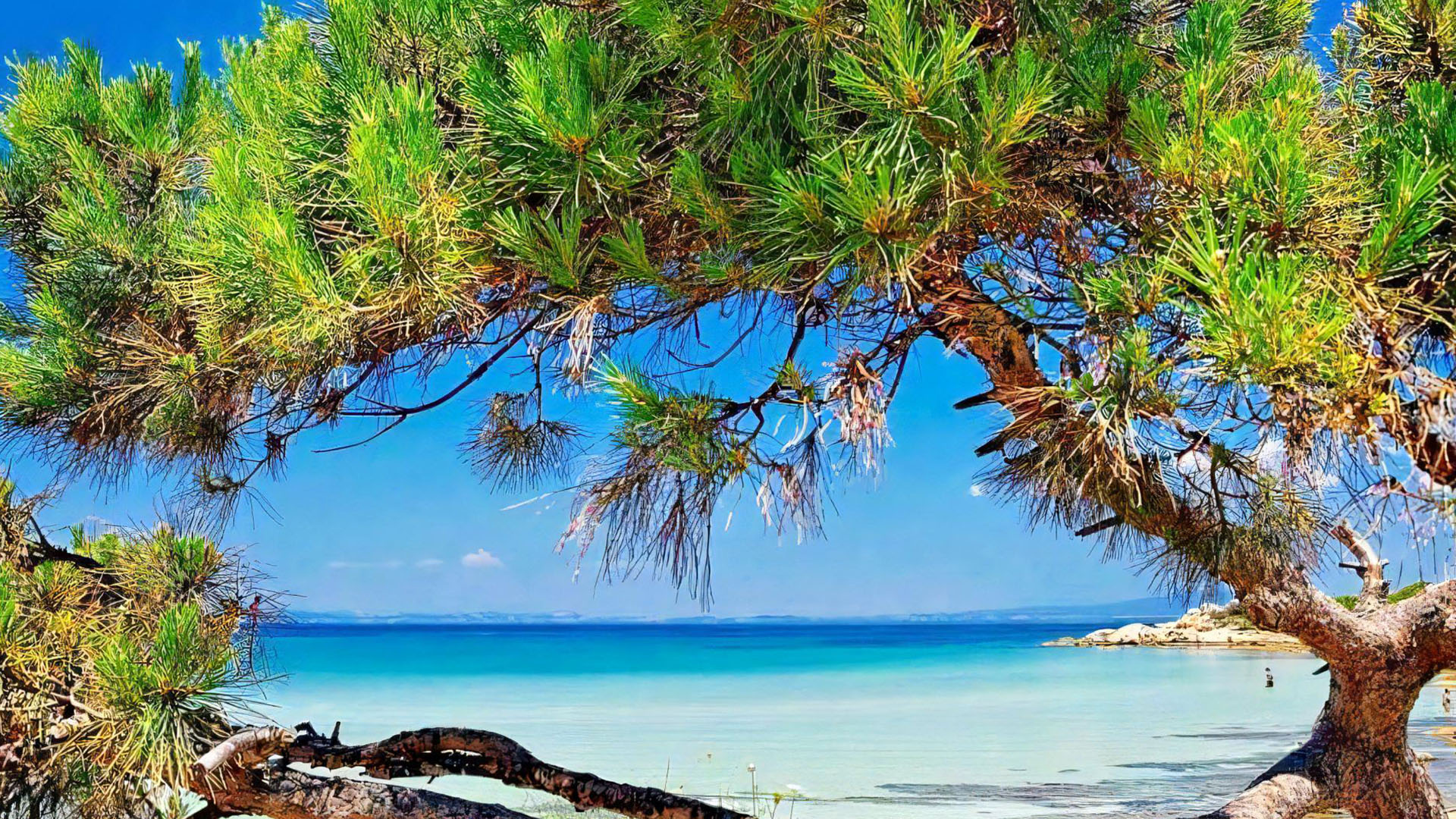 Sithonia Chalkidiki Beaches 011